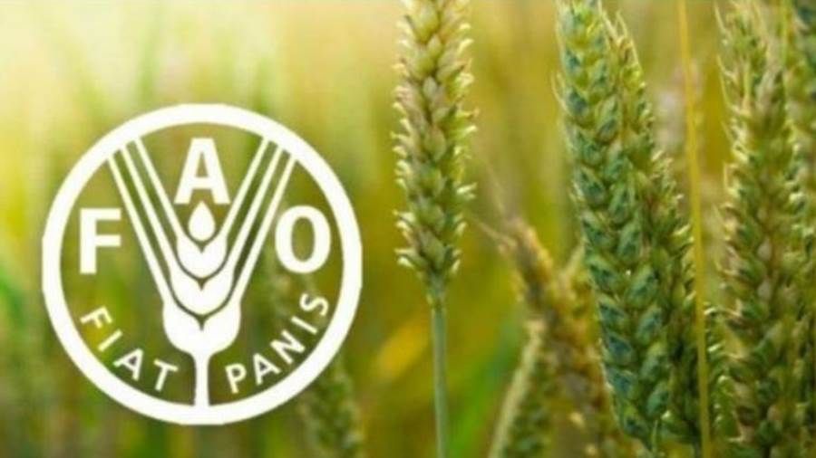 ارتفاع أسعار الغذاء العالمية لأعلى مستوى لها خلال نحو عقد من الزمان