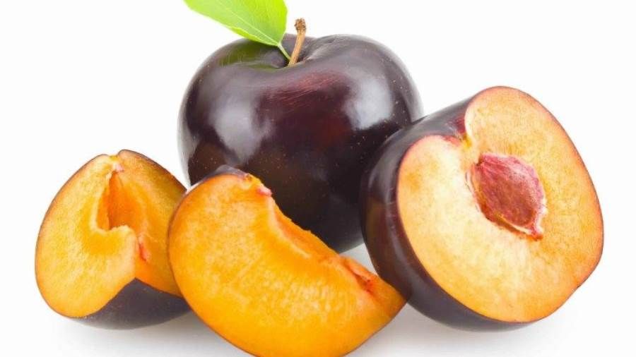 ما هي فوائد البرقوق الأحمر والأسود لصحة الجسم؟