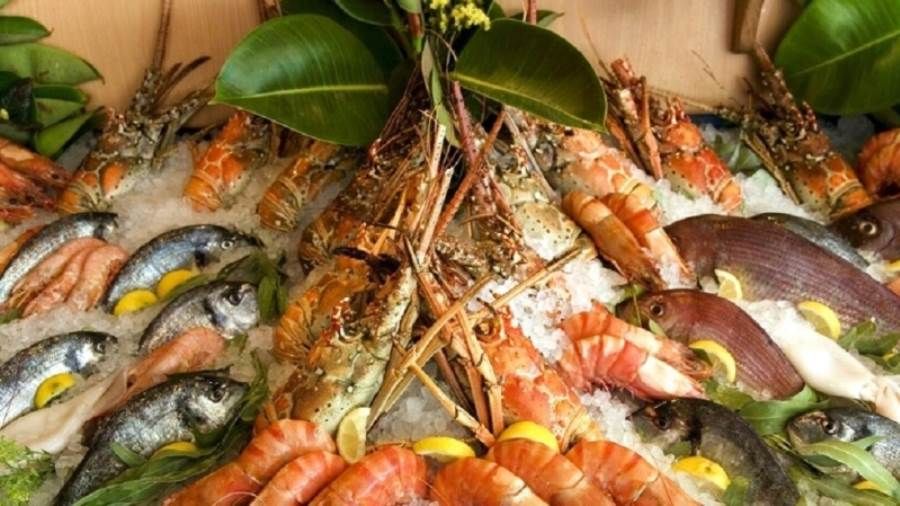 خبيرة: النظام الغذائي منعدم الدهون يسبب العقم