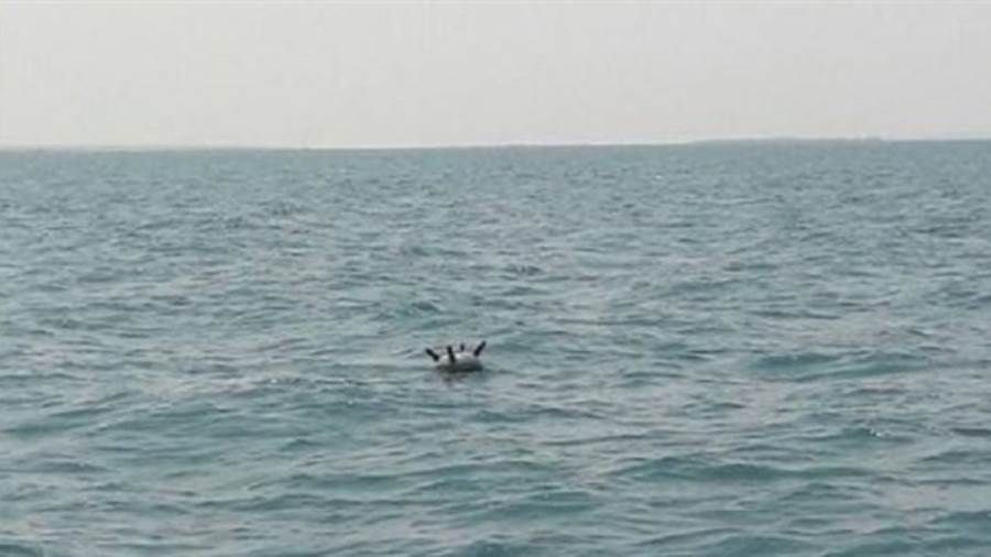 القوات المشتركة تكشف عن شبكة ألغام بحرية مثبته زرعتها المليشيات الحوثية