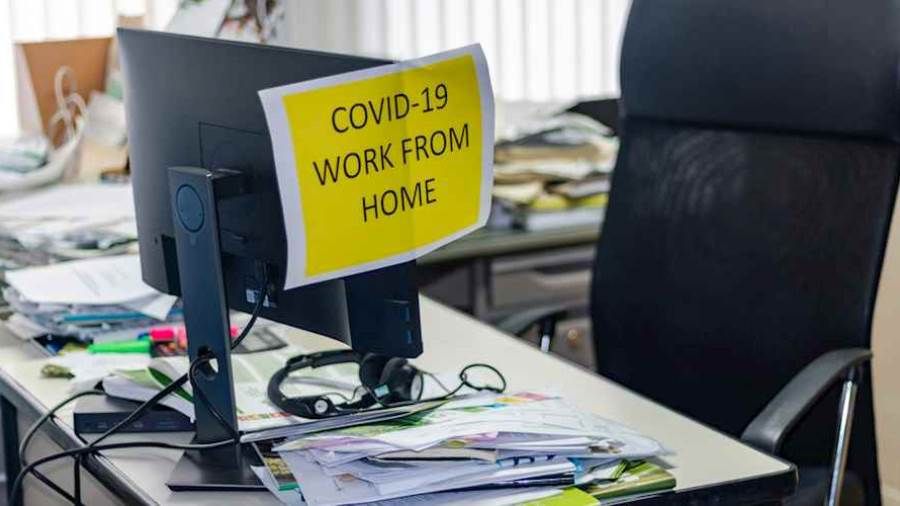 ما هو تأثير "كورونا" على سوق العمل؟