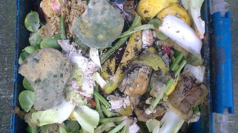 هكذا تستغل فضلات الطعام