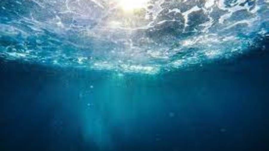 العثور على جثة طفلة في قاع المحيط يثير صدمة في إسبانيا