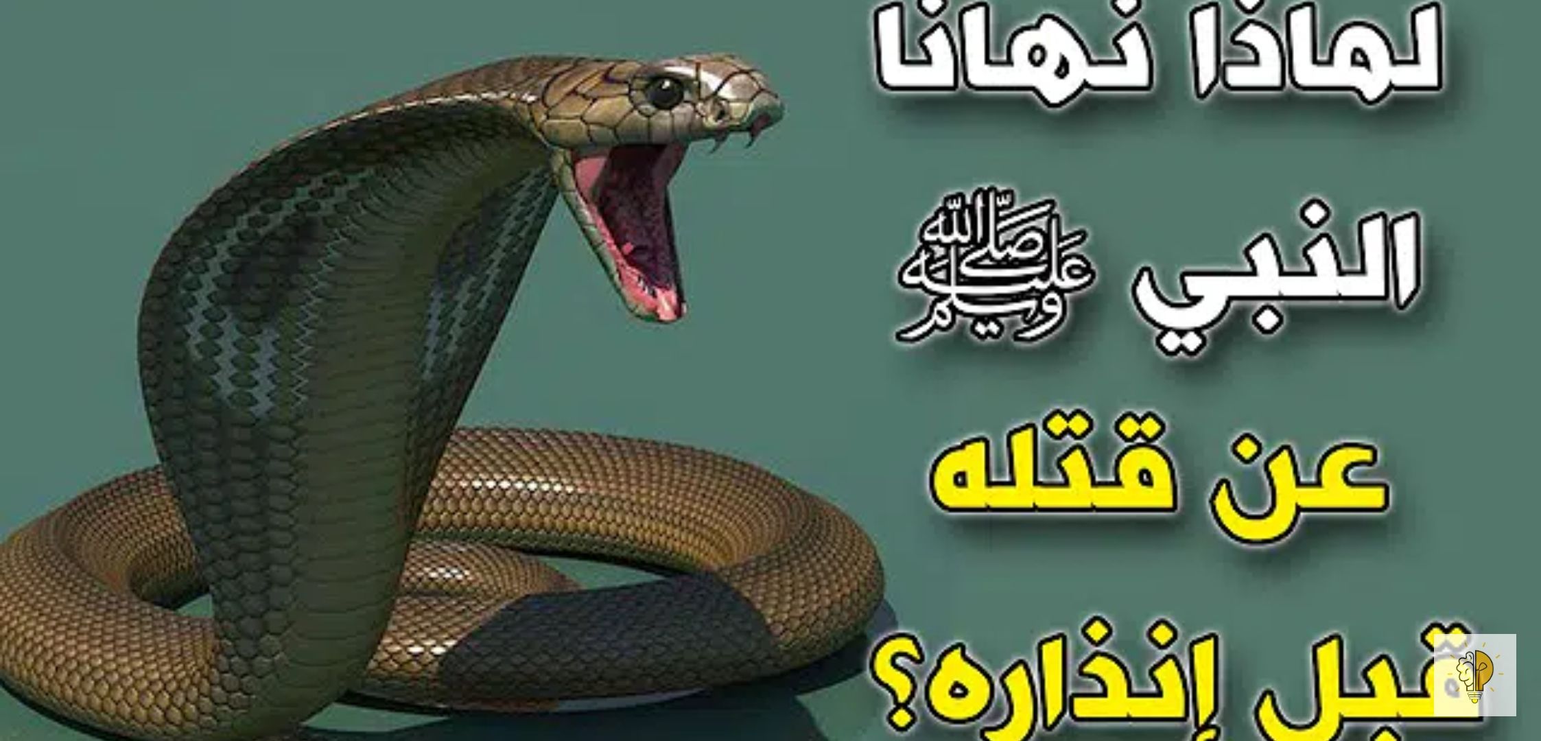 لماذا نهانا الرسول صلى الله عليه وسلم عن قتل الثعبان قبل إنذاره .. ستبكي من الإجابة ..شاهد الفيديو