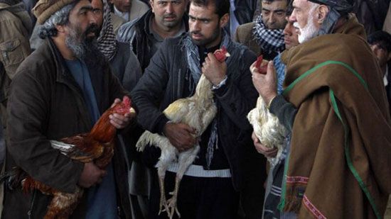 أغرب سوق في العالم.. يبيعون فيه العرائس والفتيات الصغيرات للزواج ويأكلون لحم البشر!! ( صور )