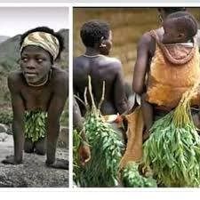 الخليج الان : أغرب قبيلة في العالم