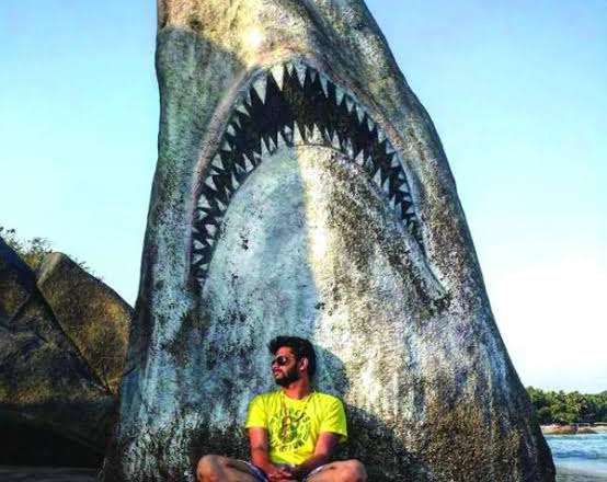 جميع أسماك القرش في البحار والمحيطات كادت ستموت بسبب هذا الحدث الغامض.. شاهد مالذي حدث ( تفاصيل مع الصور )