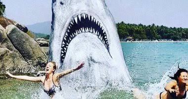 جميع أسماك القرش في البحار والمحيطات كادت ستموت بسبب هذا الحدث الغامض.. شاهد مالذي حدث ( تفاصيل مع الصور )