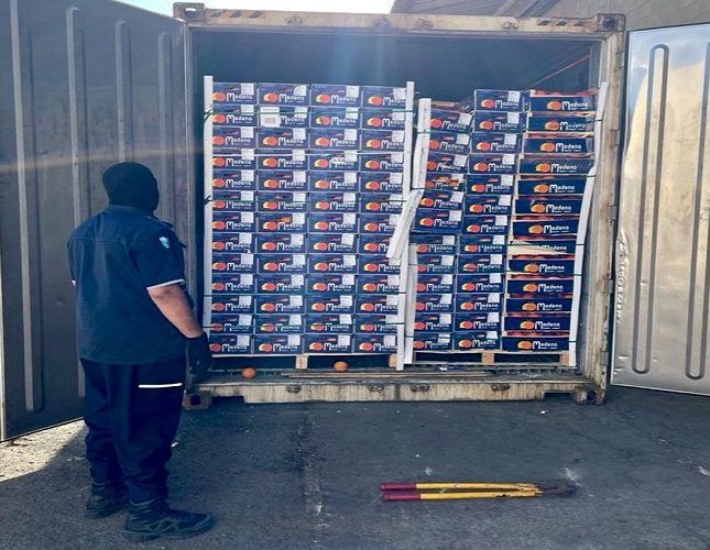 الجمارك السعودية تشتبه في شحنة برتقال بميناء جدة.. وعند تفتيشها كانت المفاجأة!..(صور)