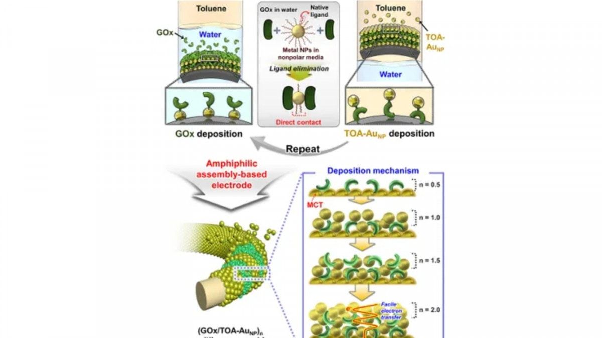 ابتكار تقنية ترفع كفاءة استخدام الوقود العضوي