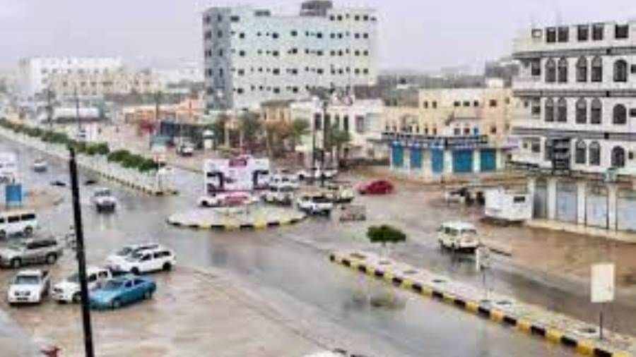 بدء حملة لعلاج مرض طاعون المجترات الصغيرة بالمهرة