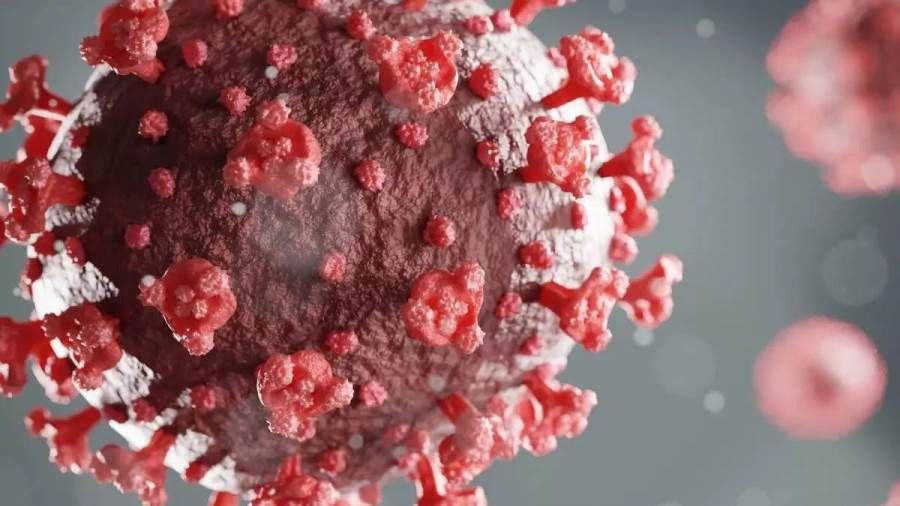 الهند تسجل 12249 إصابة جديدة بكورونا و13 وفاة