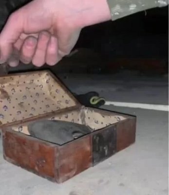 شابة صغيرة تفتح صندوق المجوهرات الخاص بوالدتها بعد وفاتها لتكتشف هـذا السر وتسقط ميته على الفور من هول وشدة الصدمة.!!