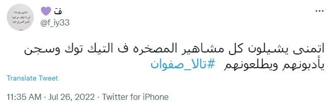 قضية تالا صفوان تعاود فتح النار على مشاهير "تيك توك"