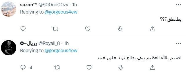 السعودية.. "تيك توكر" يتعرض للسخرية بعد مناشدته للإفراج عن تالا صفوان
