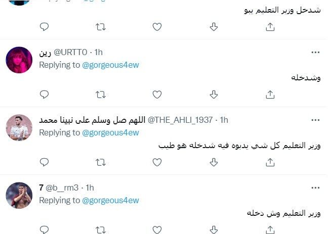 السعودية.. "تيك توكر" يتعرض للسخرية بعد مناشدته للإفراج عن تالا صفوان