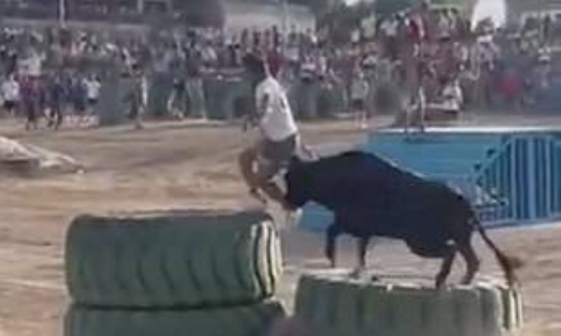 ثور غاضب يهاجم رجلاً بشكل مخيف في مهرجان بـ إسبانيا ويمزق قدمه.. فيديو مروع (شاهد)