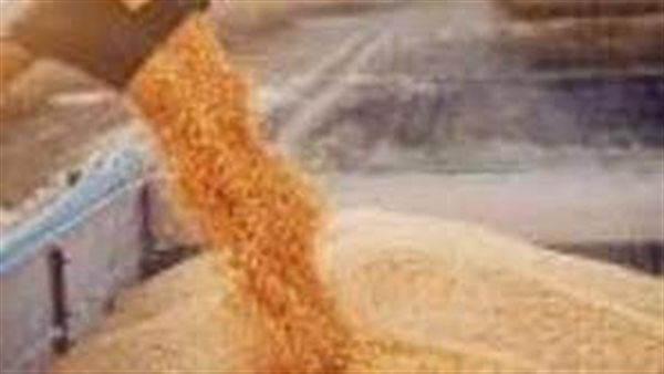 تقرير يرصد عوامل سلبية على إنتاج الأرز العالمي.. ماذا حدث؟