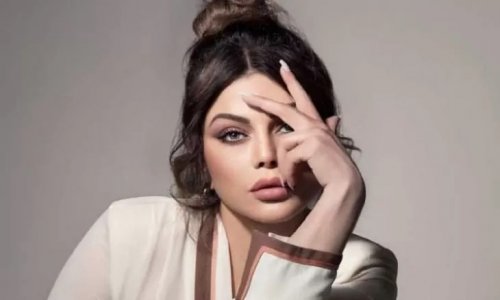 محاصرة هيفاء وهبي داخل سيارتها لفترة طويلة والأمن يتدخل لإنقاذها ماذا حدث لها وتسبب بالهلع