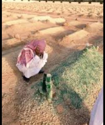 في واقعه يقشعر منها البدن .. شاب صغير وضع هاتفه داخل قبر صديقة المتوفى أثناء دفنه ..وبعد ساعات اتصل بالرقم فكانت الصاعقه التي اصابته بالجنون.. لن تصدقوا من رد عليه؟