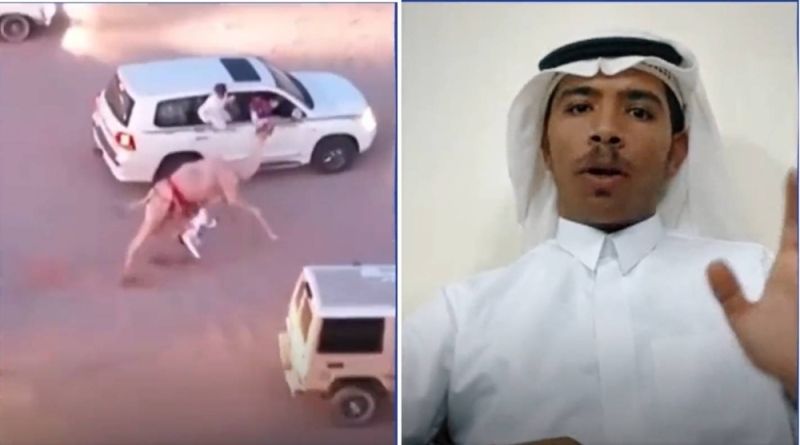 الشاب السعودي الذي انقذ حياة الطفل الذي سقط من على ظهر جمل وكاد يدهسه في سباق للهجن بتبوك يكشف تفاصيل الحادثة (فيديو)
