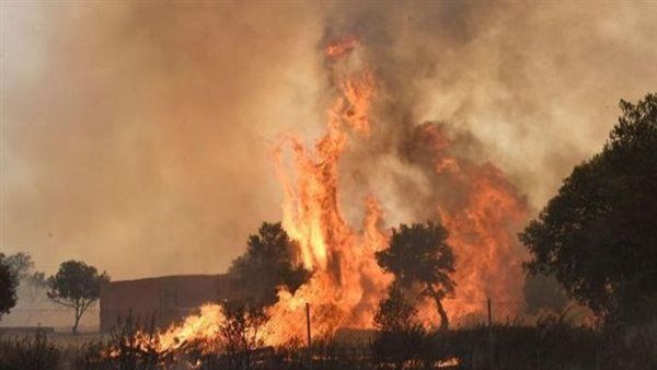 تفاقم الحصيلة الأولية للحرائق في الاتحاد الأوروبي