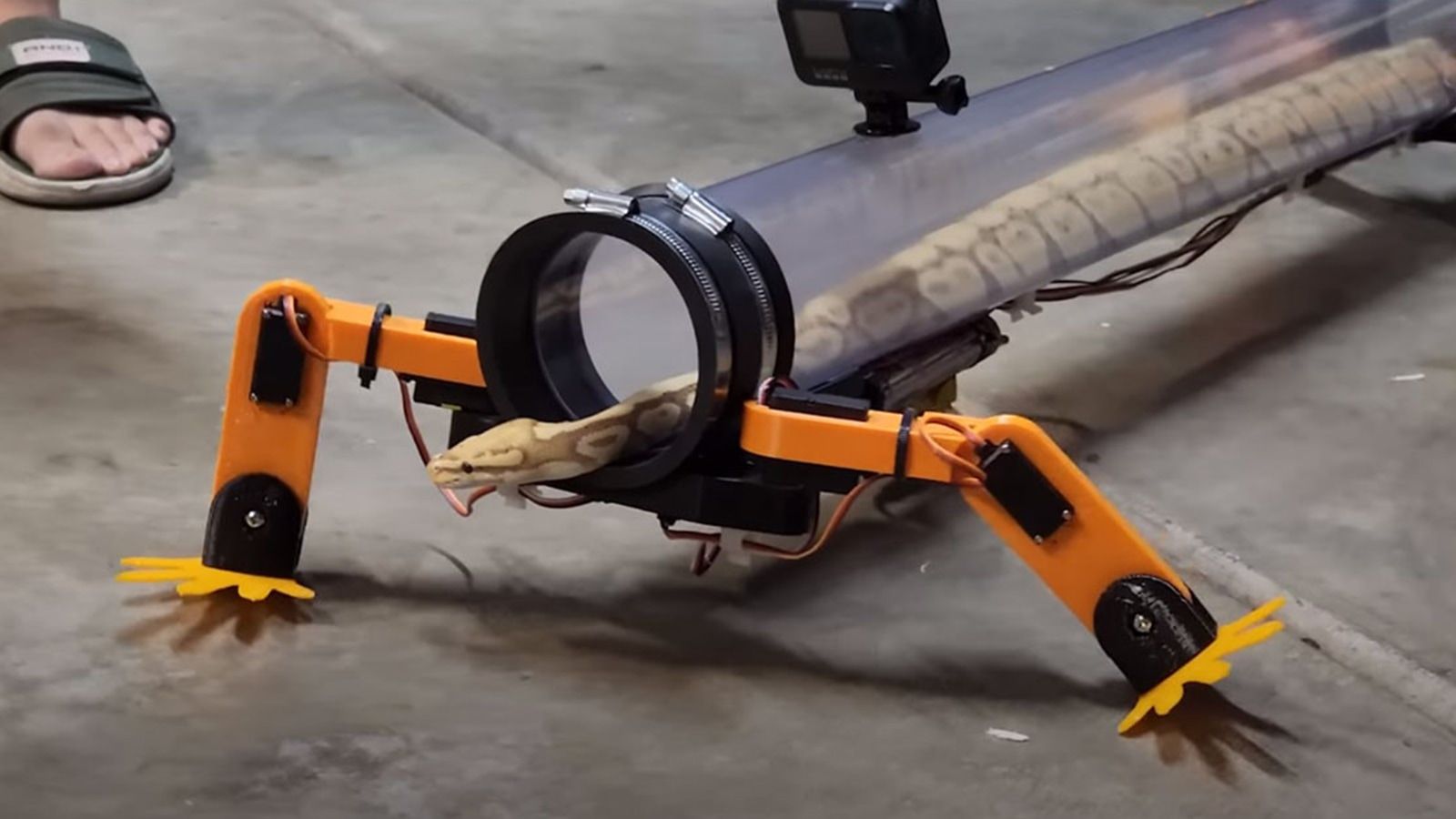 ابتكار بدلة روبوتية تتيح للثعابين المشي بأربع أرجل