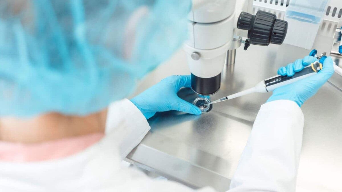 أين وصل العلم في تكوين الأجنة داخل المختبر؟