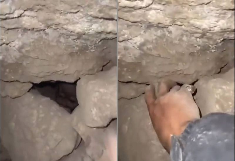 شاهد: أشخاص في الأردن يعثرون على كائن غريب يشبه الطفل مختبئ داخل جبل!