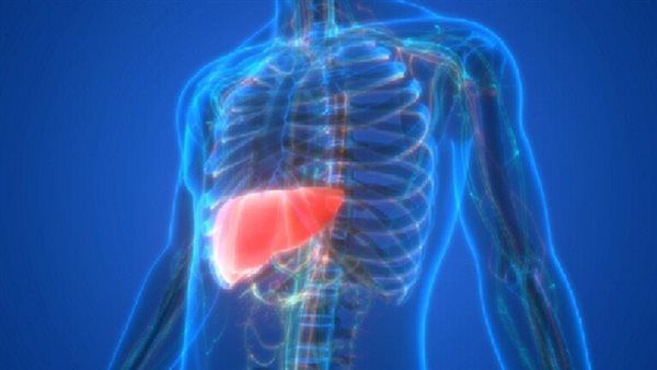 أسباب تعمل على تلف الكبد