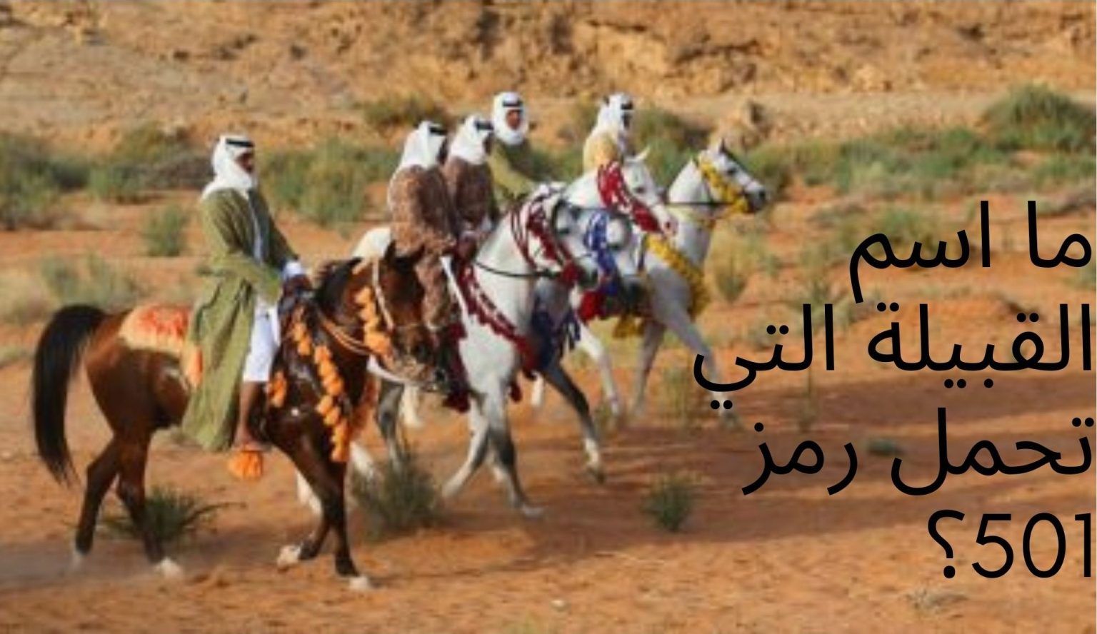 ما اسم القبيلة السعودية التي تحمل رمز 501؟