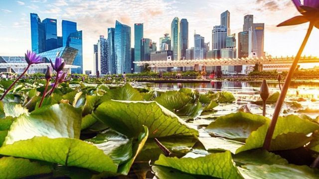 دولة شهيرة تفاجئ جميع السعوديين بالسماح لهم بدخولها بدون تأشيرة لأول مرة في هذا الموعد