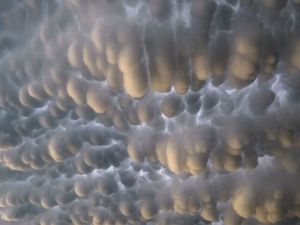 اتفرج بالفيديو: سحب مرعبة على هيئة أثداء البقر فوق السعودية.. ماهي الرسالة التي تحملها ؟