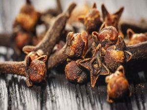 تعرف على اهم عشبة متوفرة تنظف القولون وتقضي على جرثومة المعدة نهائيا