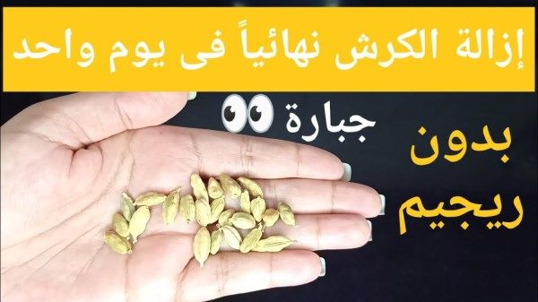 “ياريتني عرفتها من زمان”.. كوب واحد من هذا المكون قبل النوم.. يزيل الكرش والجناب بسرعه الصاروخ أسرع مشروب لحرق الدهون !!!