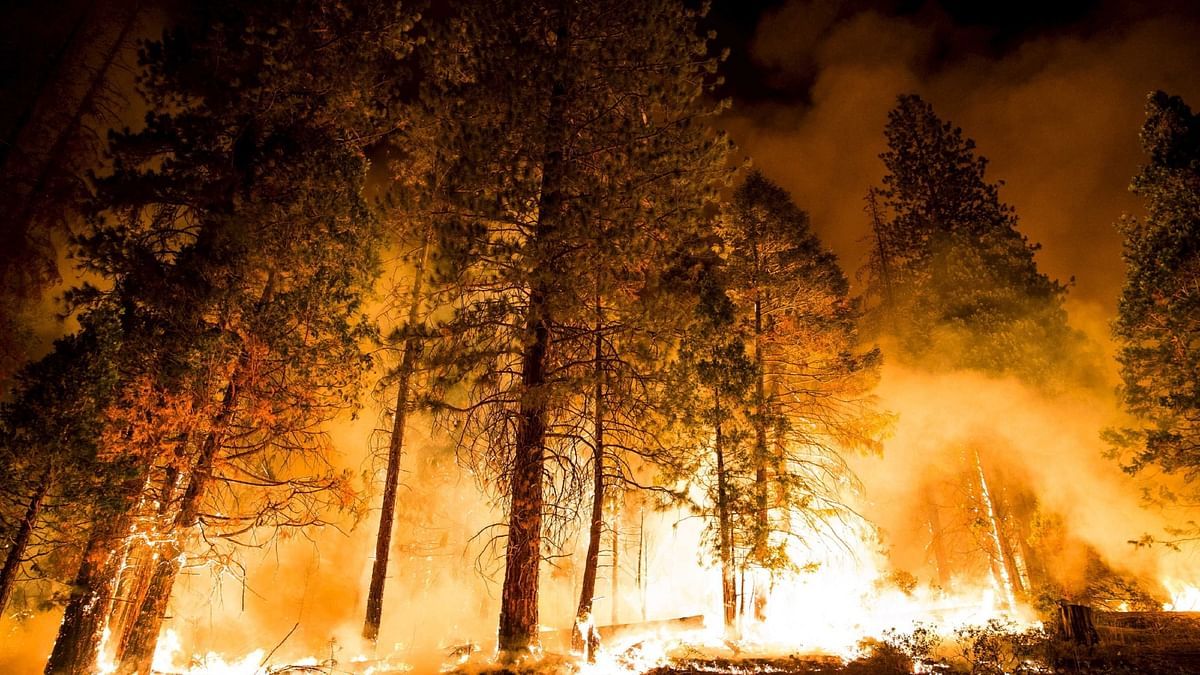 "الذكاء الاصطناعي" يجنّب ولاية كاليفورنيا حرائق ضخمة