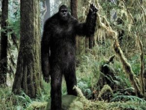 غوريلا يهاجم مستكشف سعودي في أدغال إفريقيا..وعندما أمسكه حصلت المفاجأة التي صدمت الجميع