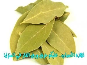 هتغير حياتك.. معجزة حرق ورق الغار في المنزل فوائده كل يوم ستذهلك ولن تتخلى عنه بعد اليوم!