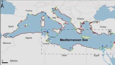 "واحدة منهم خليجية".. عالم فضاء يحذر من كارثة ستحدث في 3 مدن عربية