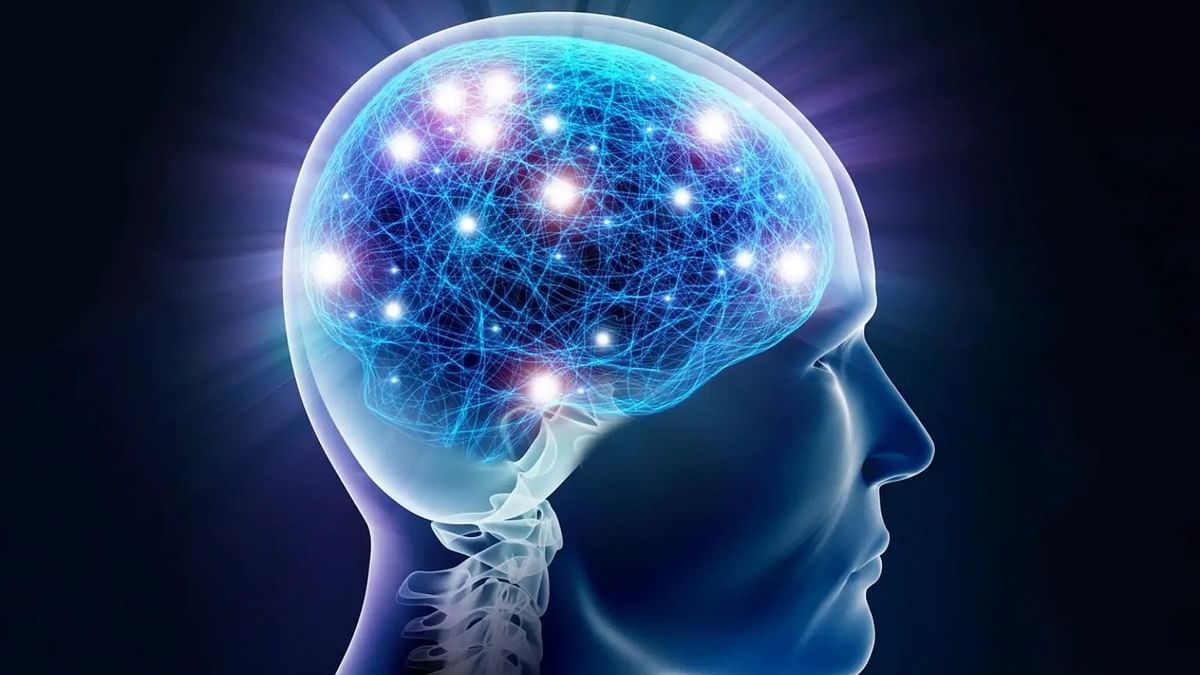 دراسة بحثية تبشر بثورة في فهم عمل الدماغ البشري
