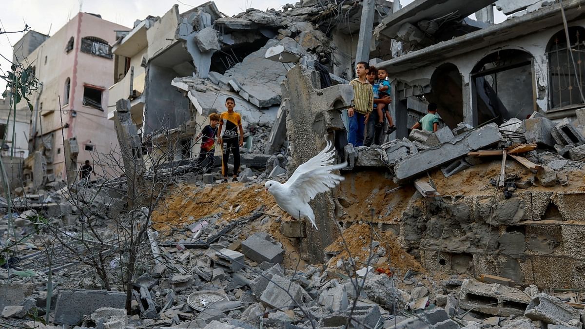 شظايا اشتباكات غزة تصيب السياحة المصرية