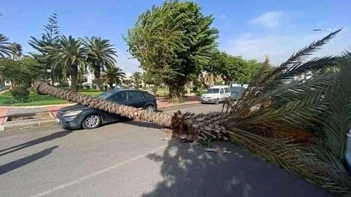 العاصفة "برنانر" تضرب المغرب وإلغاء الرحلات الجوية والبحرية