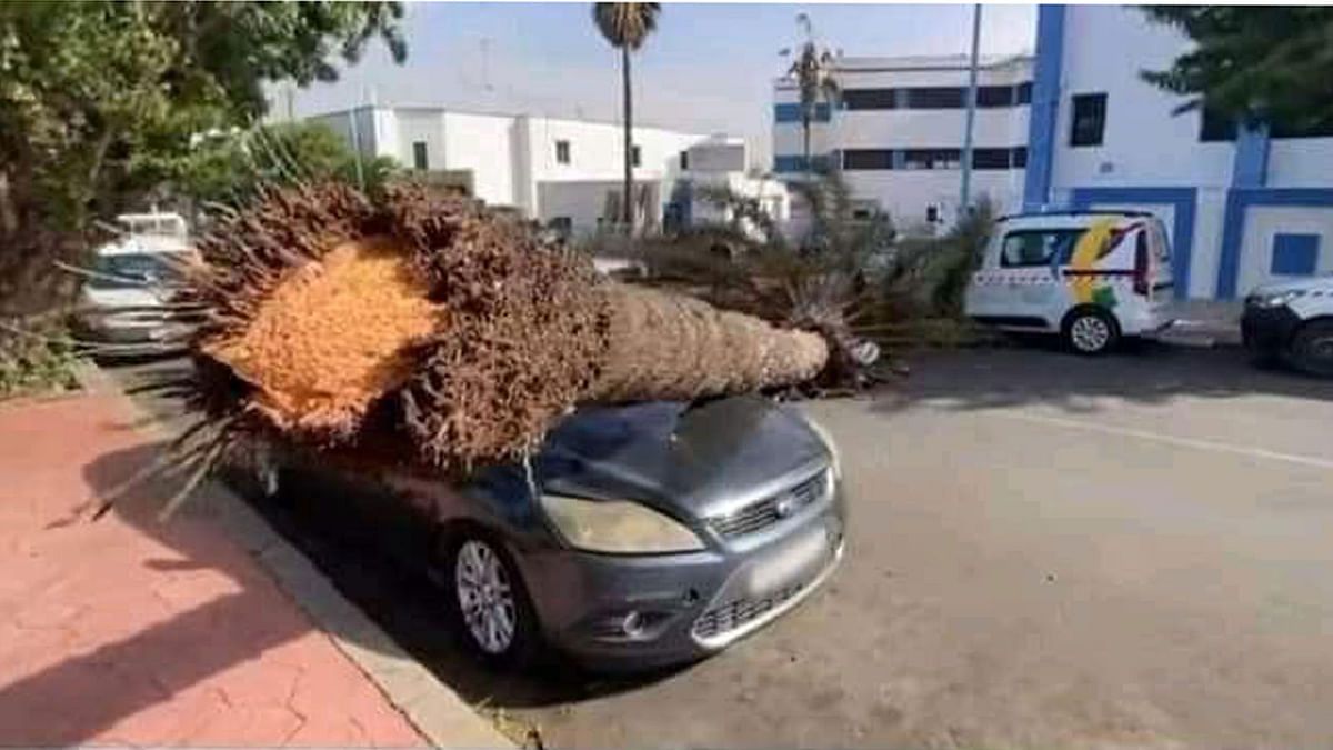 العاصفة "برنانر" تضرب المغرب وإلغاء الرحلات الجوية والبحرية