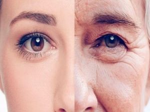 سعودي يبتكر علاج مضاد للشيخوخة بعد تجربة ناجحة على القرود.. والعالم يرفع له القبعة إحتراما