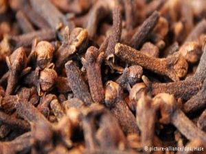 اكتشفوا وصفة القرنفل المعجزة للتخلص من الشعر الأبيض والتمتع بشباب دائم.. وداعاً للصبغات المزعجة!