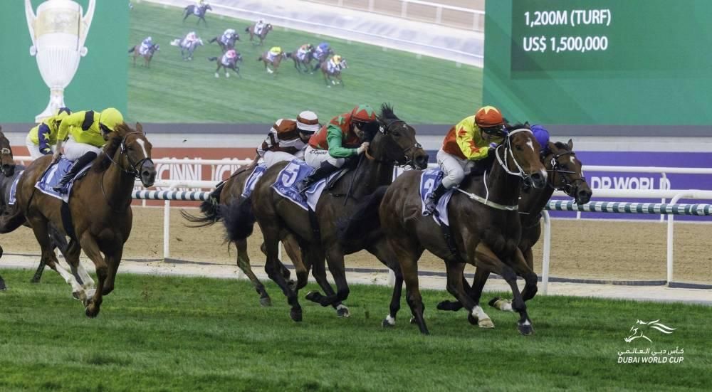 «كاليفورنيا سبانجل» بطلاً لـ«القوز سبرنت» رابع أشواط كأس دبي العالمي