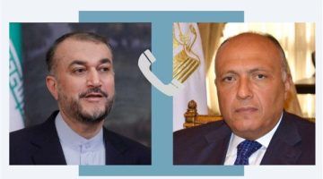 شكري يحذر من عواقب اتساع رقعة الصراع بالمنطقة على السلم والأمن الدوليين