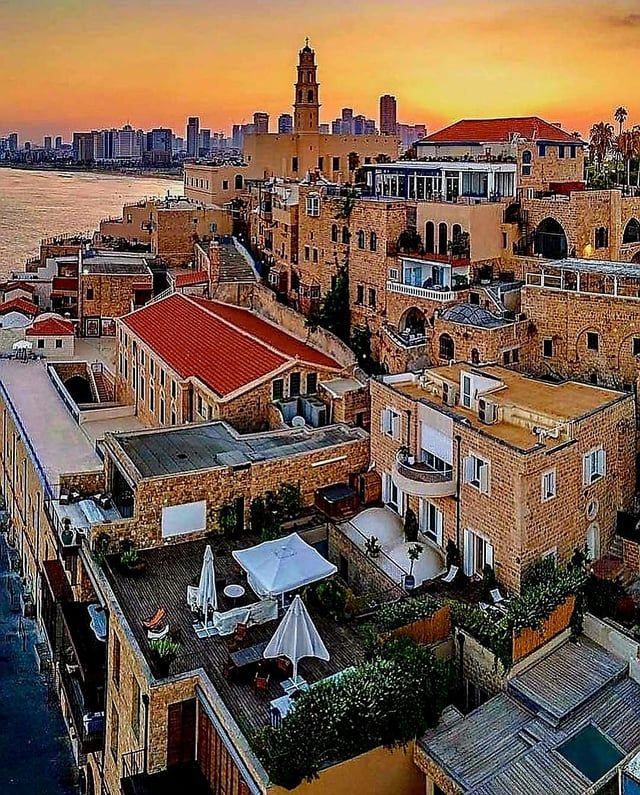 يافا.. مدينة تاريخية ربطت فلسطين بالعالم (فيديو إرم)