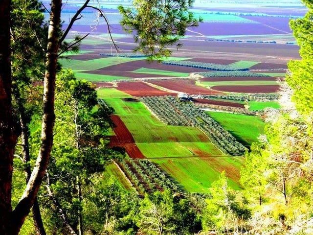 سهل مرج ابن عامر.. سلة غذاء فلسطين وسرها الخلاب (صور)