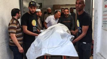 يجب اتخاذ إجراءات عاجلة لوقف الفظائع المستمرة في غزة